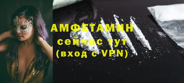 прущий лед Бородино