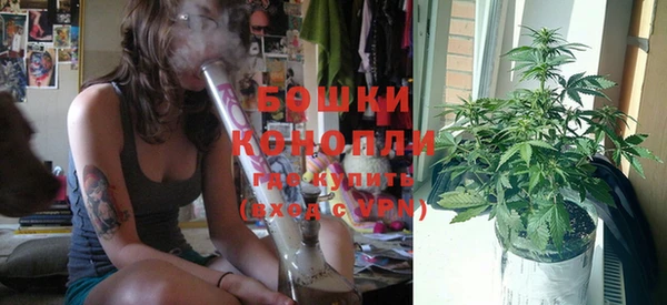 винт Бронницы