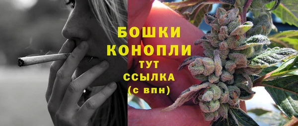 винт Бронницы