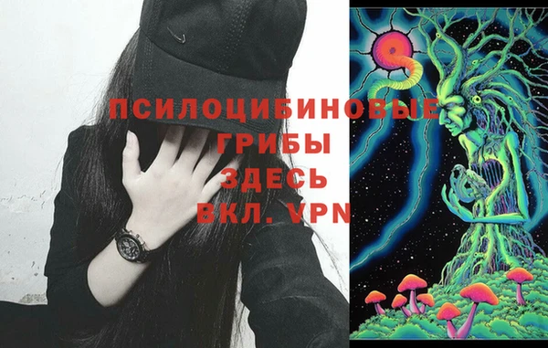 винт Бронницы
